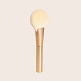 Aeris Beauté Golden Silk - Individual Brushes