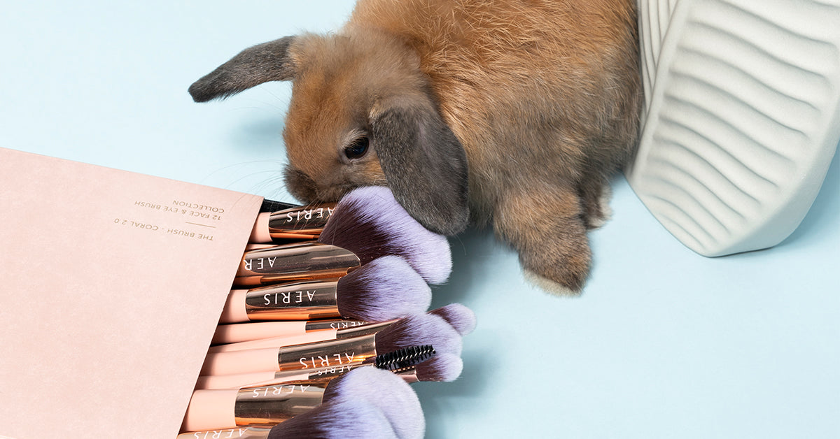 Natural Vs Vegan Makeup Brush, Which One is Better?