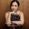 Merlot Travel Brush Set 7 pcs