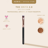 The Onyx 2.0 Single Brush