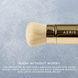 Retractable Brush
