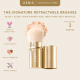 Retractable Brush