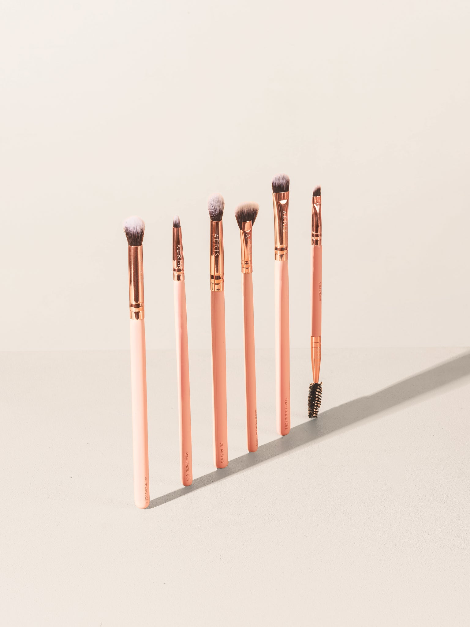 The Coral 2.0 (6 pcs Eye Brush Set)
